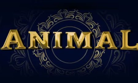 "ANIMAL" मूवी ने पहले दिन की रिकॉर्ड तोड़ कमाई, दर्शकों में दिखा उत्साह 