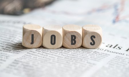 एससीआई में निकली भर्तियां, 11 दिसंबर तक कर सकते हैं आवेदन 