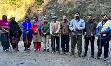 विशेष बीज बुआई अभियान के तहत वन परिक्षेत्रों में बधाह प्रजाति की कलमें की रोपित 