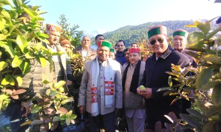 विकास मंत्री जगत सिंह नेगी ने बैजनाथ विधानसभा क्षेत्र के शिवा प्रोजेक्ट में पौधों के कलस्टर का किया निरीक्षण 