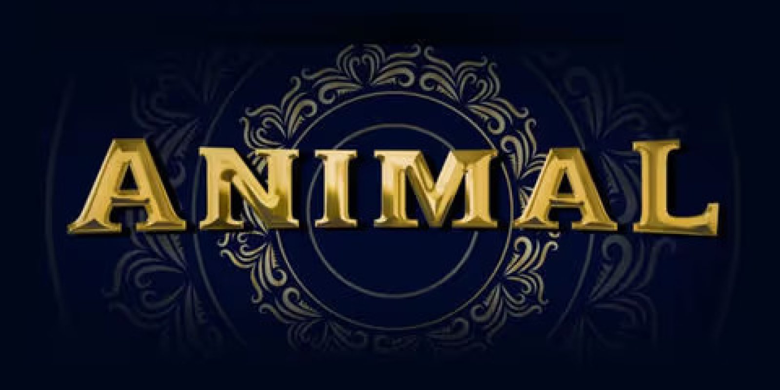 "ANIMAL" मूवी ने पहले दिन की रिकॉर्ड तोड़ कमाई, दर्शकों में दिखा उत्साह 