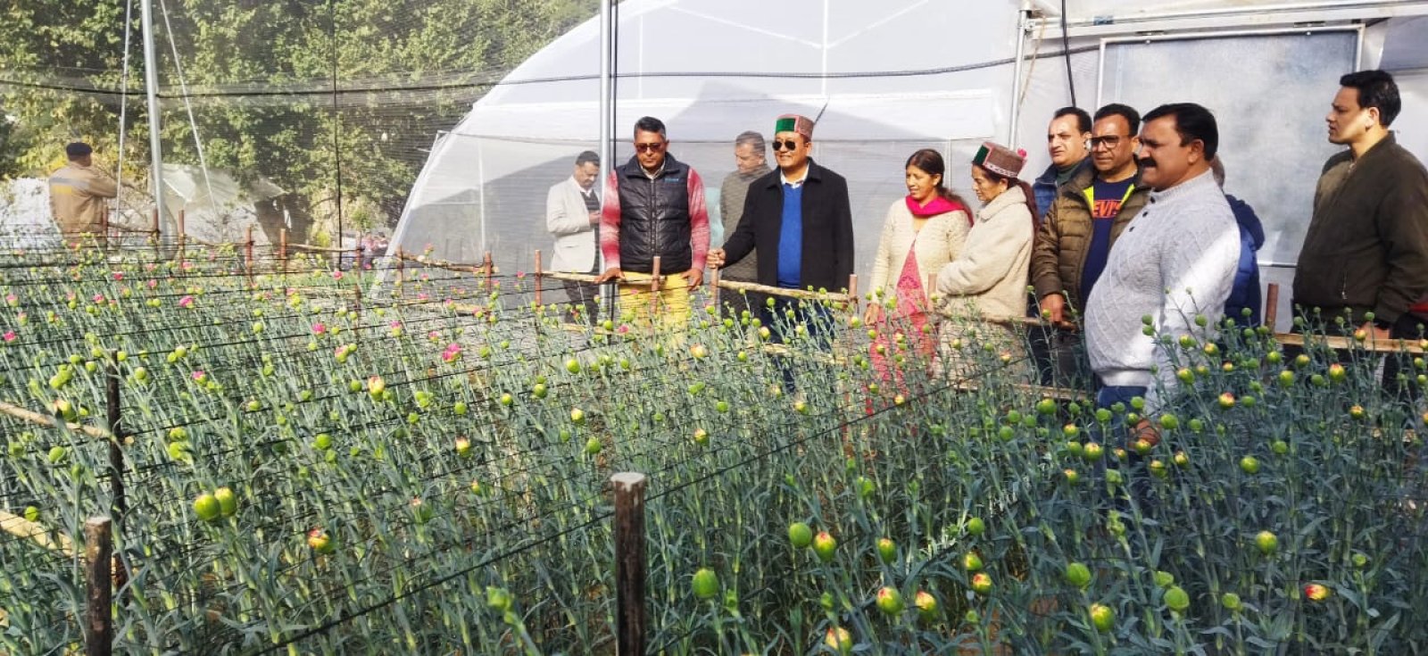 विकास मंत्री जगत सिंह नेगी ने बैजनाथ विधानसभा क्षेत्र के शिवा प्रोजेक्ट में पौधों के कलस्टर का किया निरीक्षण 