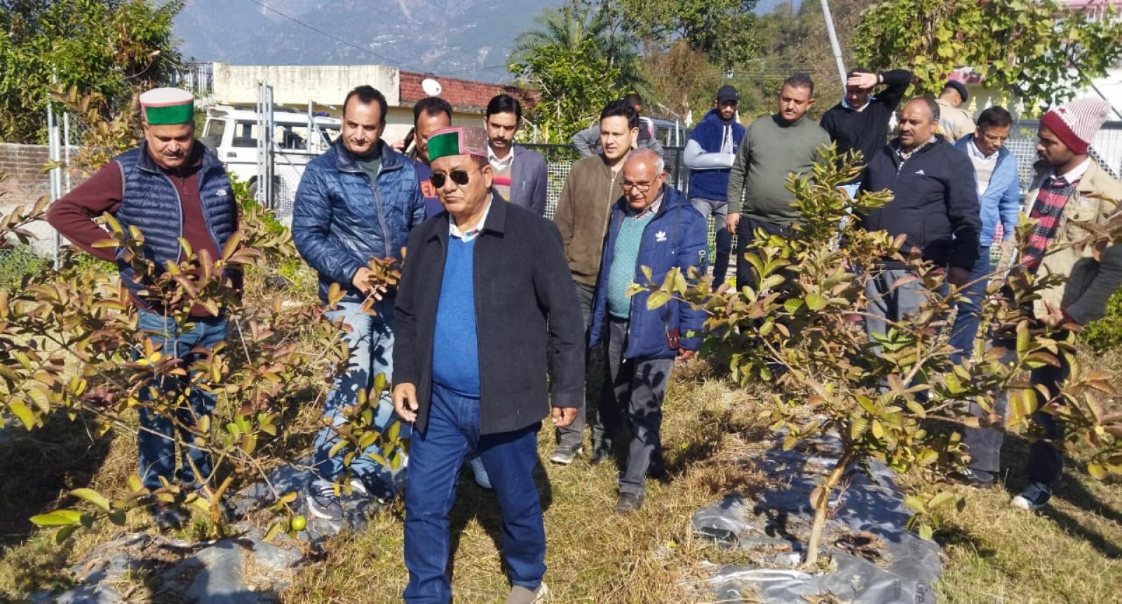 विकास मंत्री जगत सिंह नेगी ने बैजनाथ विधानसभा क्षेत्र के शिवा प्रोजेक्ट में पौधों के कलस्टर का किया निरीक्षण 