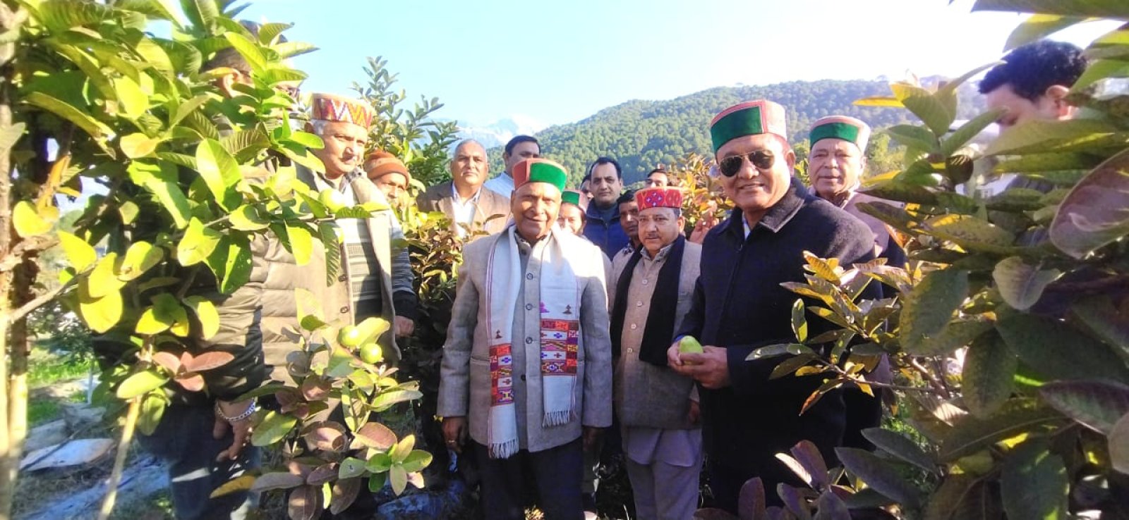 विकास मंत्री जगत सिंह नेगी ने बैजनाथ विधानसभा क्षेत्र के शिवा प्रोजेक्ट में पौधों के कलस्टर का किया निरीक्षण 