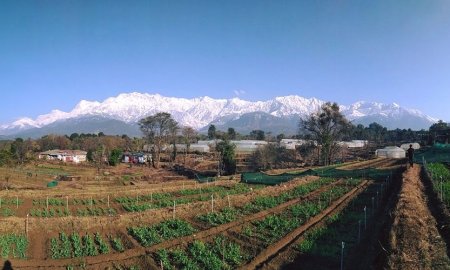 शिटाके मशरूम को पहचान दिलाने के लिए उठाए जाएंगे कारगर कदम: कुमुद  