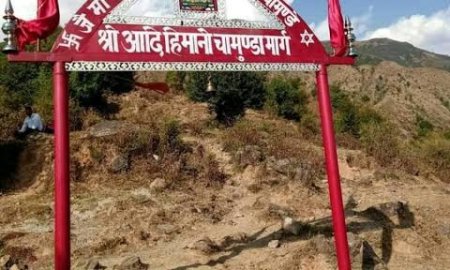 हिमानी चामुंडा मार्ग पर लगी सोलर लाइटों को हटाने पर लोगों ने जताई कड़ी आपत्ति