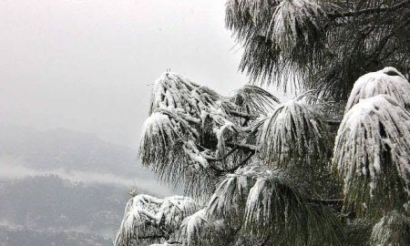 ताजा हिमपात से गदगद हुआ जिला मंडी