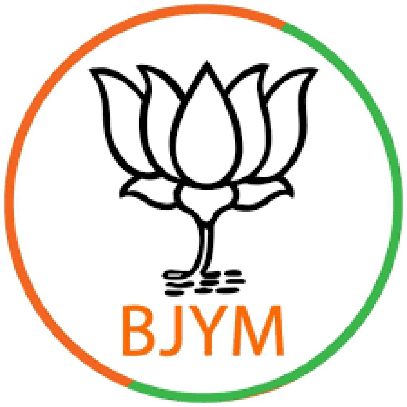 कौशिक जरयाल चुने भाजपा के नए युवा मोर्चा जिला सचिव
