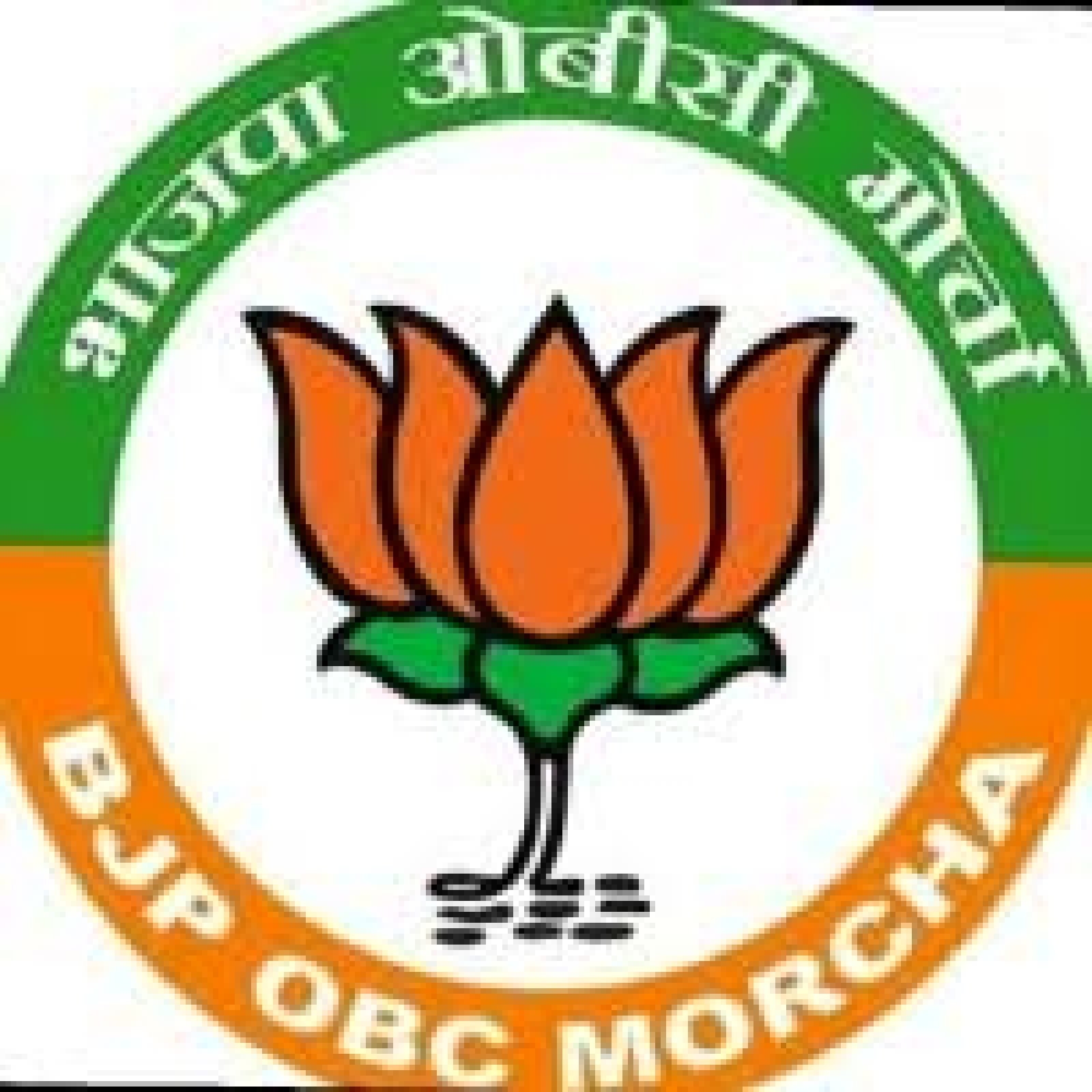 भाजपा ओबीसी मोर्चा मंडल नादौन के नवीन अध्यक्ष बने सुरेश कुमार
