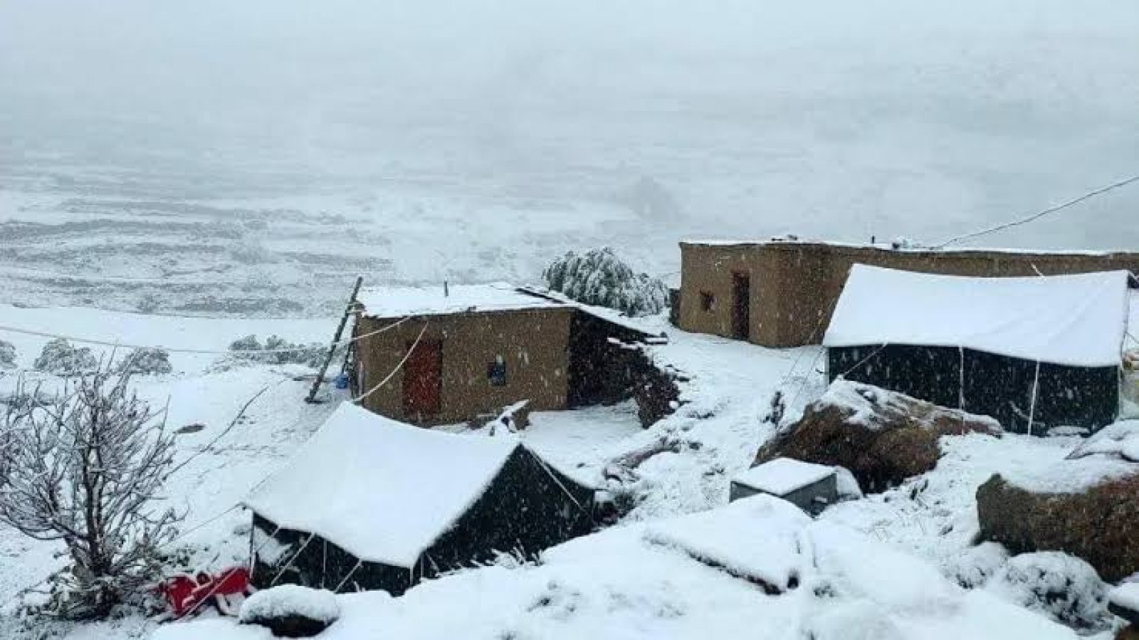 लाहौल स्पीति में बर्फ ने दी दस्तक