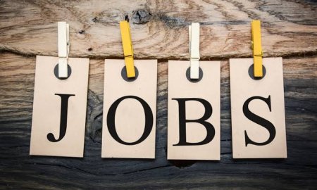 टीजीटी शिक्षकों के भरे जाएंगे 3000 रिक्त पद 