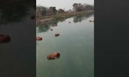 भाखड़ा नहर में गिरी सिलेंडरों से भरी गाड़ी चालक पानी के तेज बहाव में डूबा चालक