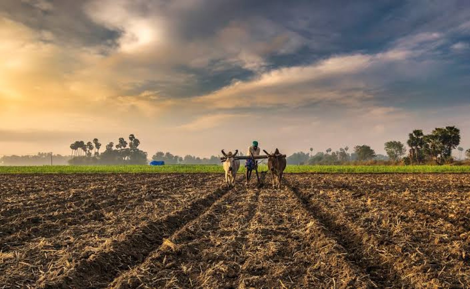 किसान सम्मान निधि योजना से वंचित किसानों के लिए चलाया जाएगा विशेष अभियान