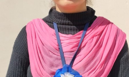 डीएलएड परीक्षा परिणाम में छाए शरण कॉलेज के होनहार