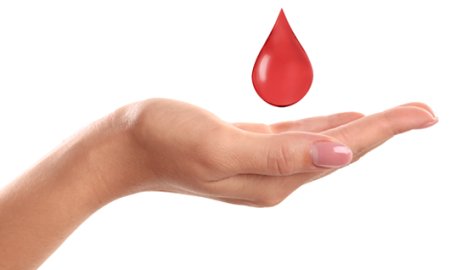 स्वास्थ्य की दृष्टि से लाभप्रद है रक्तदान, सभी नागरिक दें अपना महत्वपूर्ण  योगदान: हेमराज बैरवा