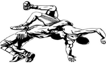 बलद्वाड़ा में होने जा रहा हिंदी केसरी दंगल का शुभारंभ 