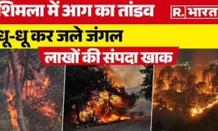 शिमला के तारादेवी मंदिर के जंगलों में बढ़ती गर्मी के बीच लगी आग