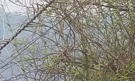 बिजली विभाग में लोकल कर्मचारियों की लापरवाही से उपभोक्ता हो रहे परेशान: पवन कालिया