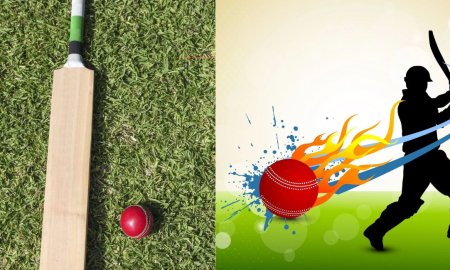 सीनियर वर्ग टी-20 मुकाबले में मंडी ने कुल्लू को 7 विकेट से हराया