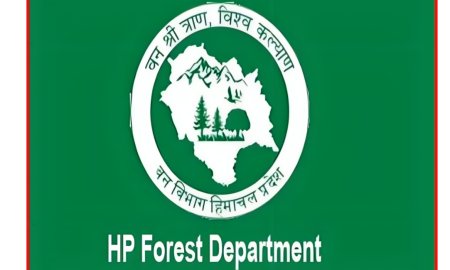 वन विभाग की टीम ने छापेमारी के दौरान पकड़ी अवैध लकड़ी,पुलिस से की शिकायत