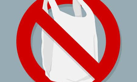 प्रतिबंधित पॉलीथिन सामग्री का इस्तेमाल करने पर दुकानदारों के हुए चालान