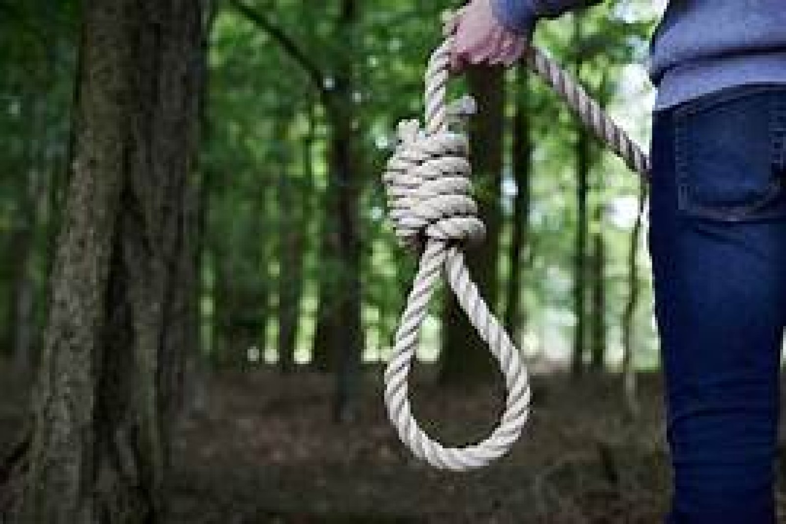 पेड़ों से लटके मिले शव ,क़ानून व्यवस्था राम भरोसे