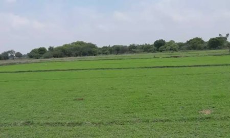 जमीन के बदले जमीन या तो देने होंगे 10 अरब, जानिए यह दास्तां