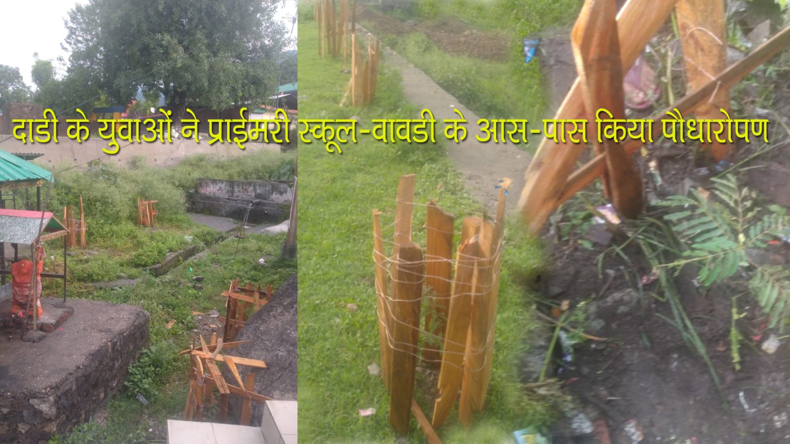 दाड़ी के युवाओं ने मेला ग्राउंड व आसपास किया पौधारोपण