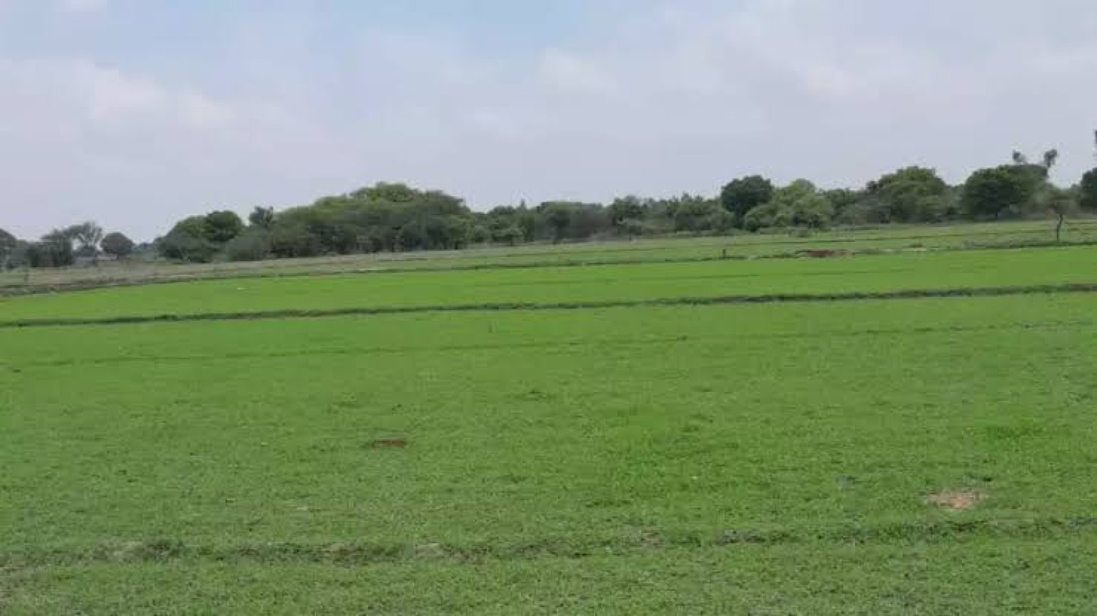 जमीन के बदले जमीन या तो देने होंगे 10 अरब, जानिए यह दास्तां