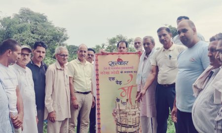 जितना जरूरी पौधरोपण उतना ही जरूरी उनका संरक्षण : महेंद्र धर्माणी