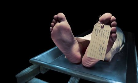 पूर्व उपप्रधान ने अपनी लाइसेंसी बंदूक से खुद को मारी गोली