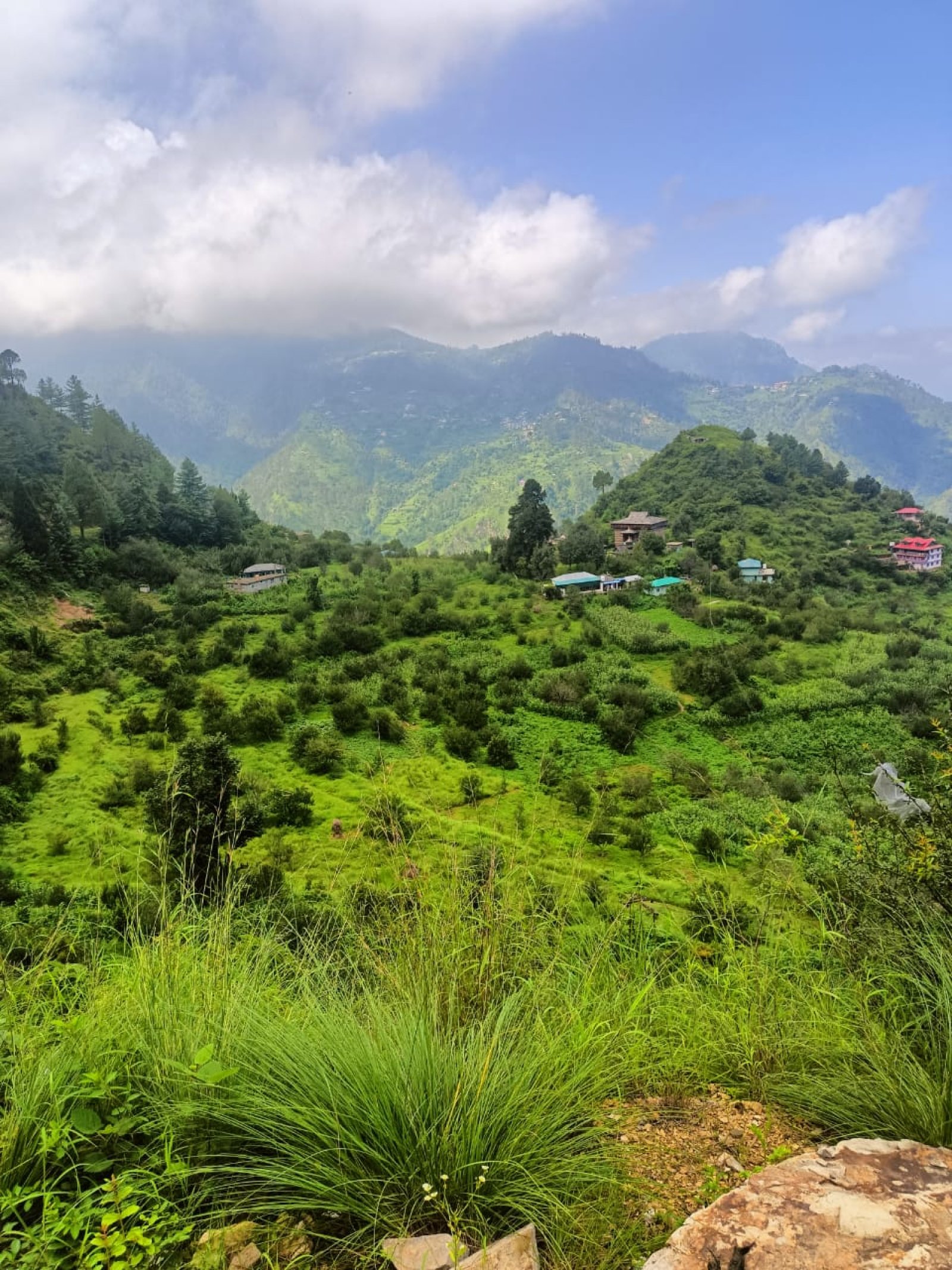 किसानों को जैविक खेती की ओर किया जा रहा है प्रेरित: मुख्यमंत्री