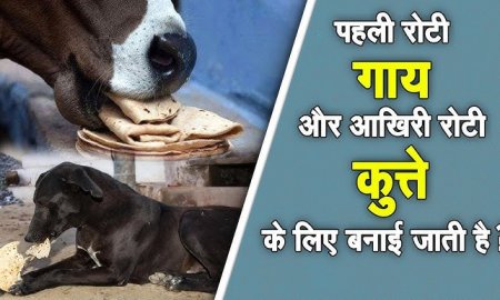 पहली रोटी गाय को और आखिरी रोटी कुत्ते को क्यों ?