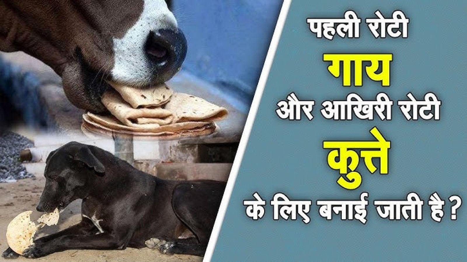 पहली रोटी गाय को और आखिरी रोटी कुत्ते को क्यों ?