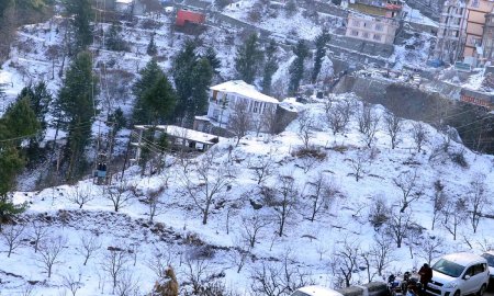 शिमला में बर्फबारी से सेब बागवानों को राहत, पर्यटन कारोबार को नई रफ्तार