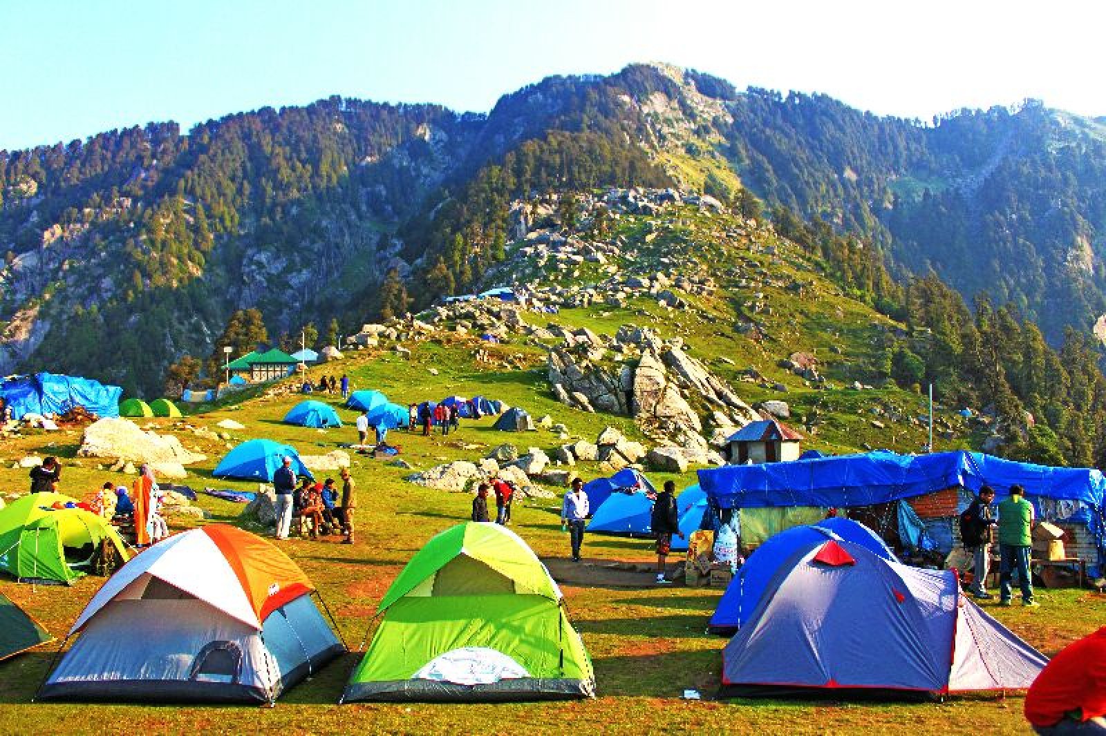त्रियुंड ट्रैकिंग प्रतिबंध का उल्लंघन: चार गाइड्स पर मामला दर्ज