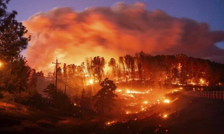 कैलिफोर्निया में भीषण आग से 70,000 एकड़ भूमि नष्ट,