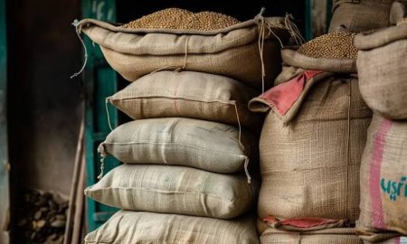 ई-केवाईसी न कराने पर 45 हजार राशन कार्ड ब्लॉक, 5 लाख उपभोक्ता सस्ते राशन से वंचित