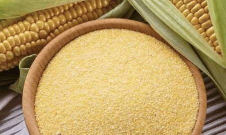 हमीरपुर और ऊना जिला के राशन डिपो में मक्की के आटे की बढ़ी मांग