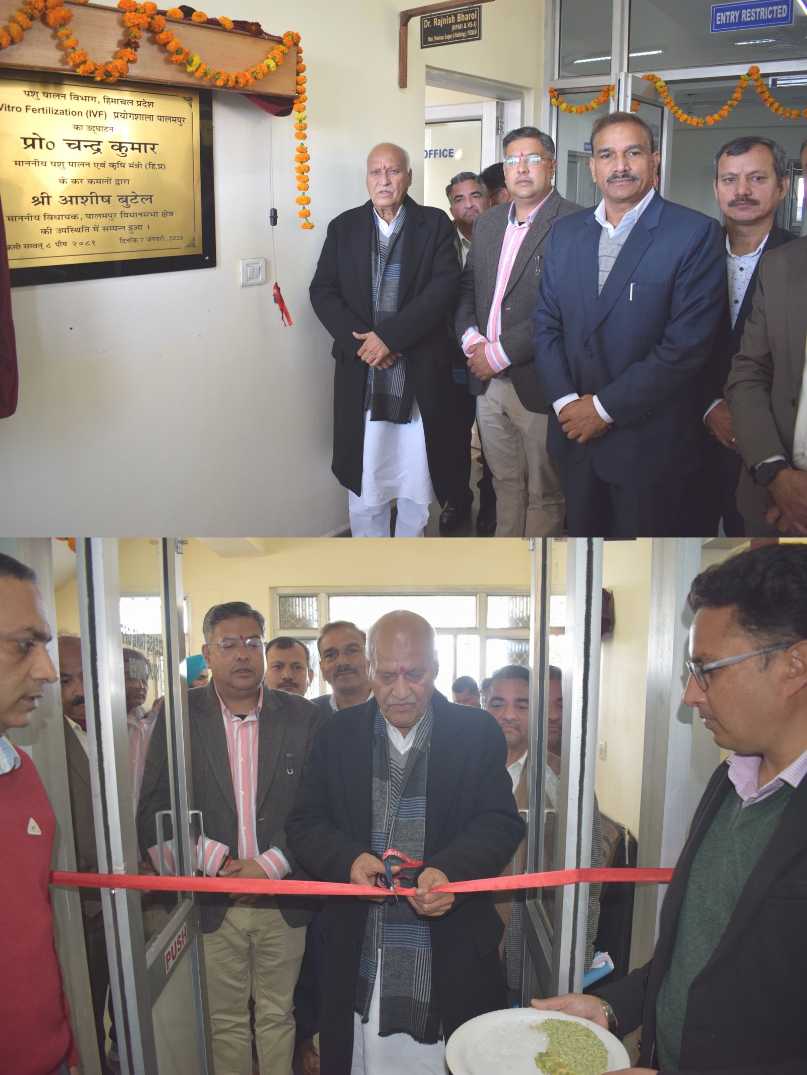 बेसहारा पशुओं की समस्या के समाधान को लेकर सरकार ने कसी कमर