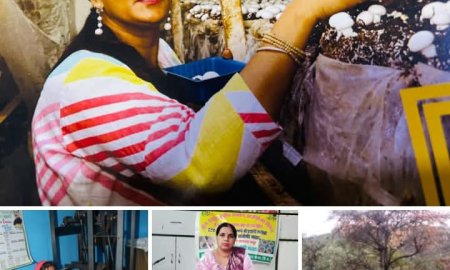 ग्रामीण महिलाओं को सशक्त व आत्मनिर्भर बनाने के लिए हिमाचल सरकार प्रतिबद्ध