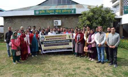 हमीरपुर में मशरूम उत्पादन पर पांच दिवसीय प्रशिक्षण शिविर हुआ संपन्न