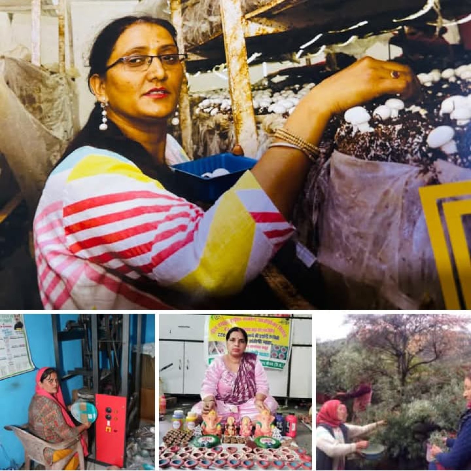 ग्रामीण महिलाओं को सशक्त व आत्मनिर्भर बनाने के लिए हिमाचल सरकार प्रतिबद्ध