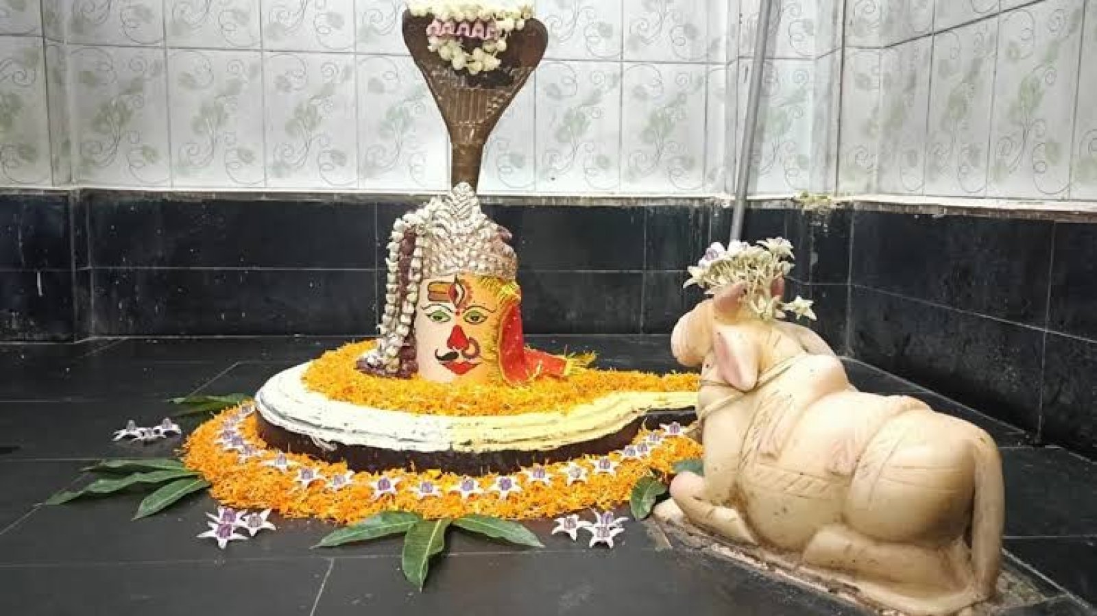 बिल्व कालेश्वर महादेव मंदिर में महाशिवपुराण कथा का भव्य आयोजन