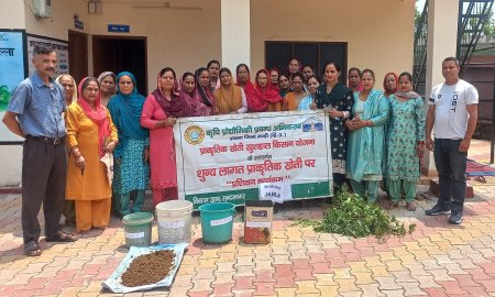 जाम्बला में प्राकृतिक खेती पर प्रशिक्षण शिविर आयोजित  | रेत, चूना और राख के मिश्रण से की जा सकती मक्की के कीड़े की रोकथाम: लेखराज