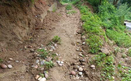 लाहड़ कोटलू पंचायत में रास्ता बदहाल, बरसात में मुश्किलें बढ़ीं