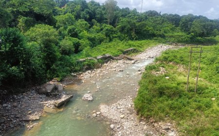 कांगड़ा: NH विभाग की लापरवाही से पुल के पास मकान और शोरूम खतरे में, पंचायत ने जताई चिंता