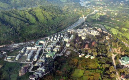 TMC टांडा में प्रशिक्षु डॉक्टर के जाली सर्टिफिकेट का पर्दाफाश, डॉक्यूमेंट वेरिफिकेशन में खुलासा