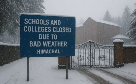 कांगड़ा में मूसलाधार बारिश का कहर, आज बंद रहेंगी स्कूल-कॉलेज