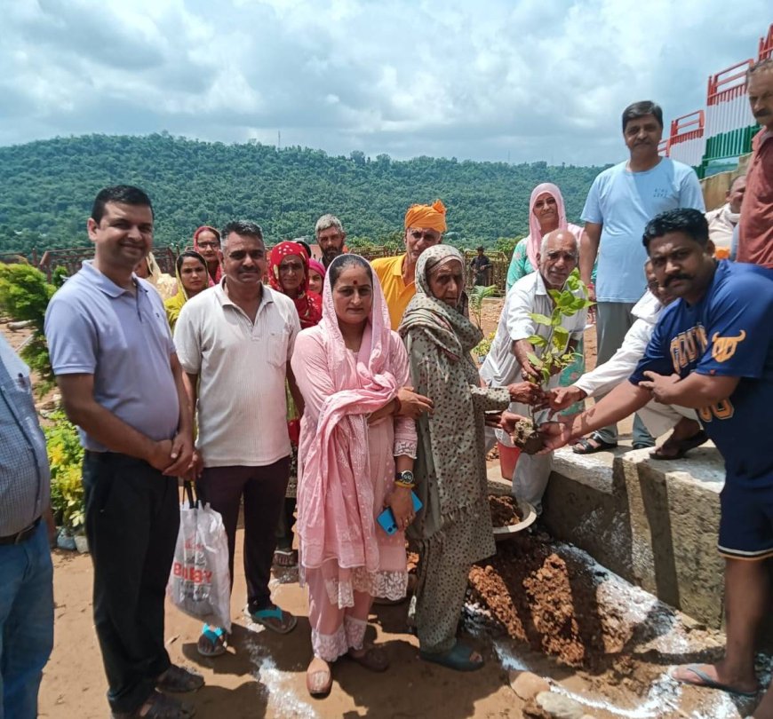 भवड़ा में बनेगा धार्मिक पर्यटन स्थल, 20 फीट ऊंची रथ पर विराजमान होंगे श्री गुगा महाराज